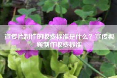 宣傳片制作的收費(fèi)標(biāo)準(zhǔn)是什么？宣傳視頻制作收費(fèi)標(biāo)準(zhǔn)