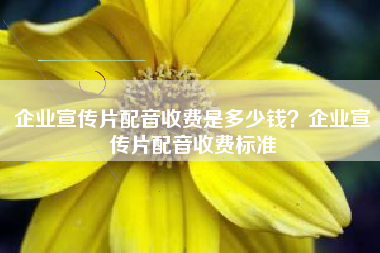 企業(yè)宣傳片配音收費是多少錢？企業(yè)宣傳片配音收費標準